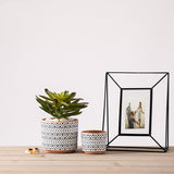 Ceramic Flower Pots Nordic Style Geometric Flower Pots – close-up