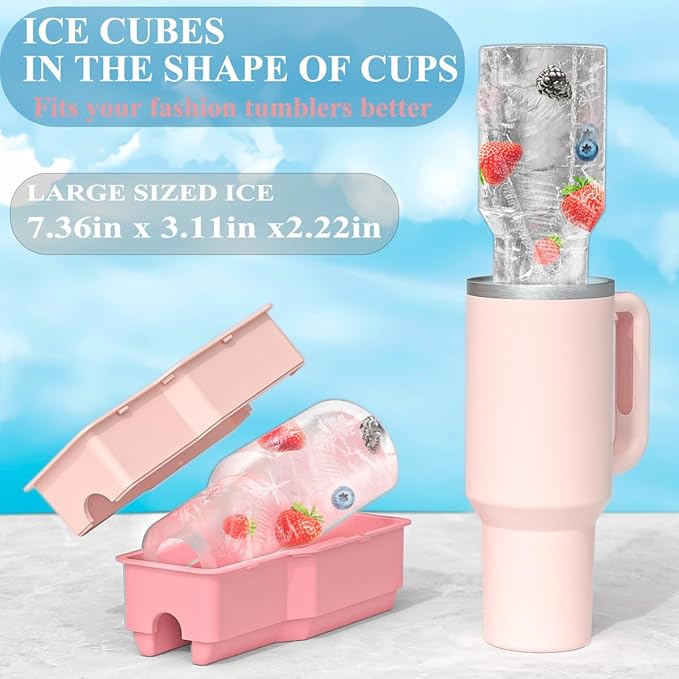 Ice Bottle Mold Tray – close-up