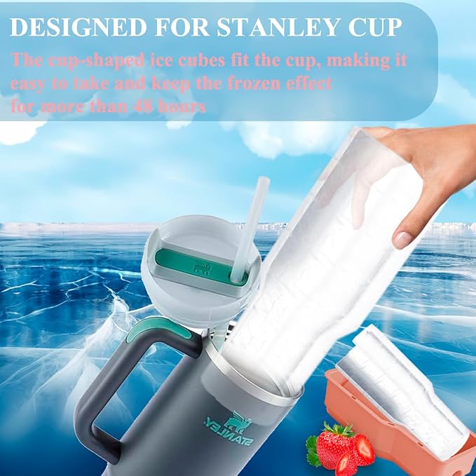 Ice Bottle Mold Tray – details