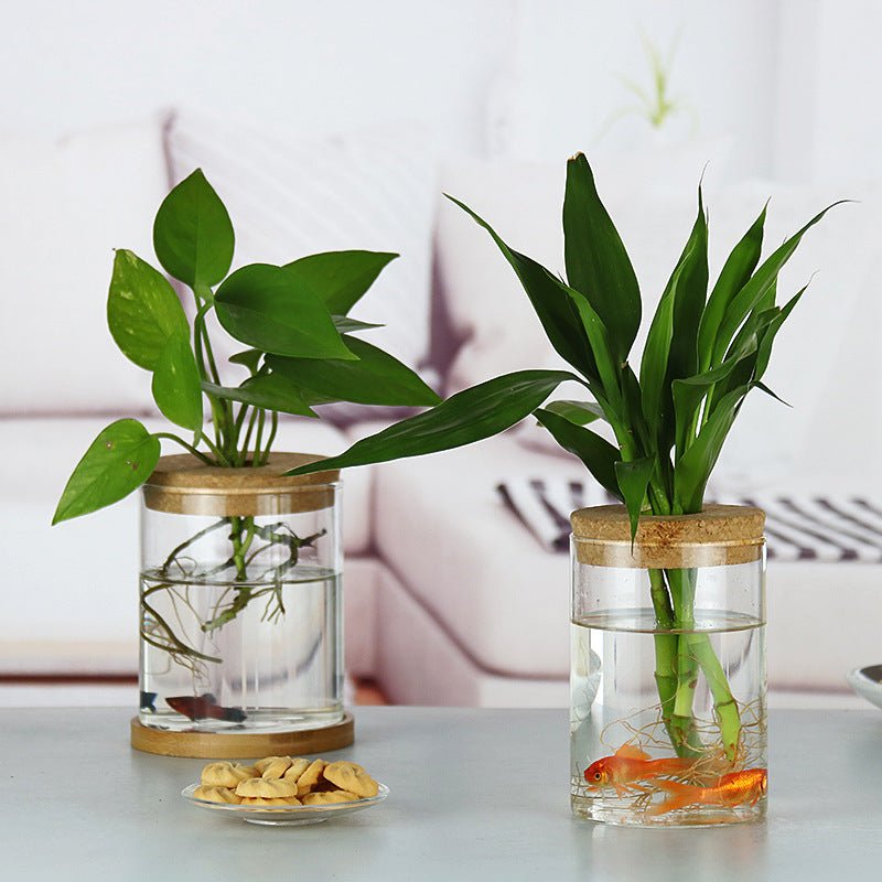 Indoor Green Plant Decoration Glass Bottle For Hydroponic – front view