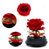 Mother Day Gift Dried Flowers Eternal Real Rose Home Decor – front view