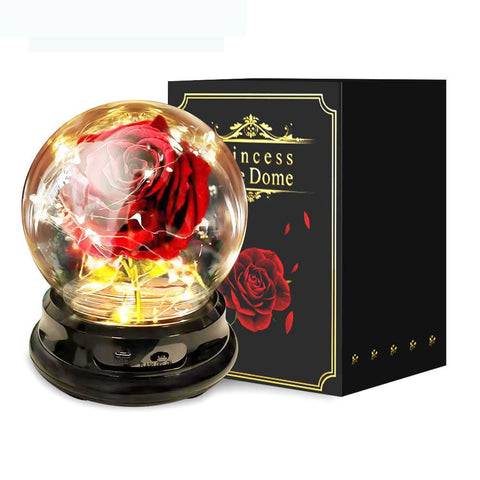 Mother Day Gift Dried Flowers Eternal Real Rose Home Decor – main view