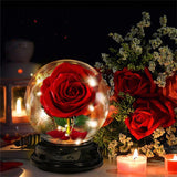 Mother Day Gift Dried Flowers Eternal Real Rose Home Decor – in use
