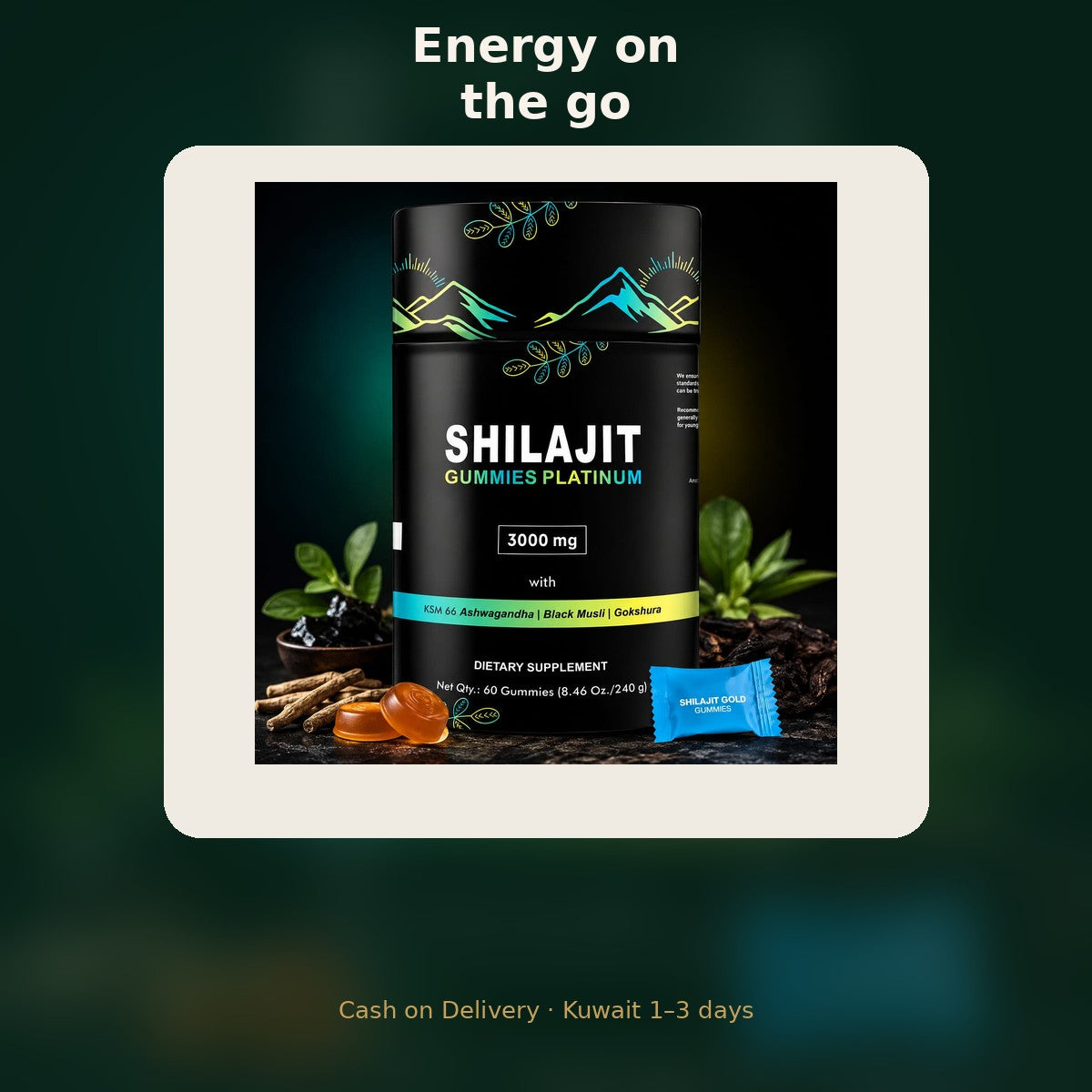 Shilajit Energy Gum — lifestyle