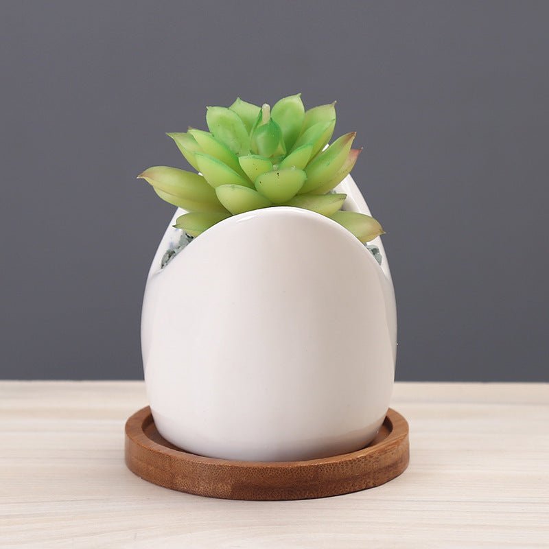 Succulent Pot Creative Cartoon Ceramic Flower Pots – in use