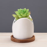 Succulent Pot Creative Cartoon Ceramic Flower Pots – in use