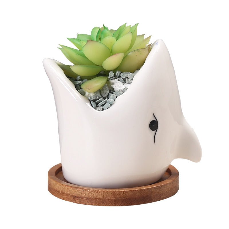 Succulent Pot Creative Cartoon Ceramic Flower Pots – front view