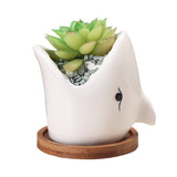 Succulent Pot Creative Cartoon Ceramic Flower Pots – front view