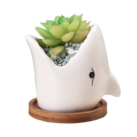 Succulent Pot Creative Cartoon Ceramic Flower Pots – front view